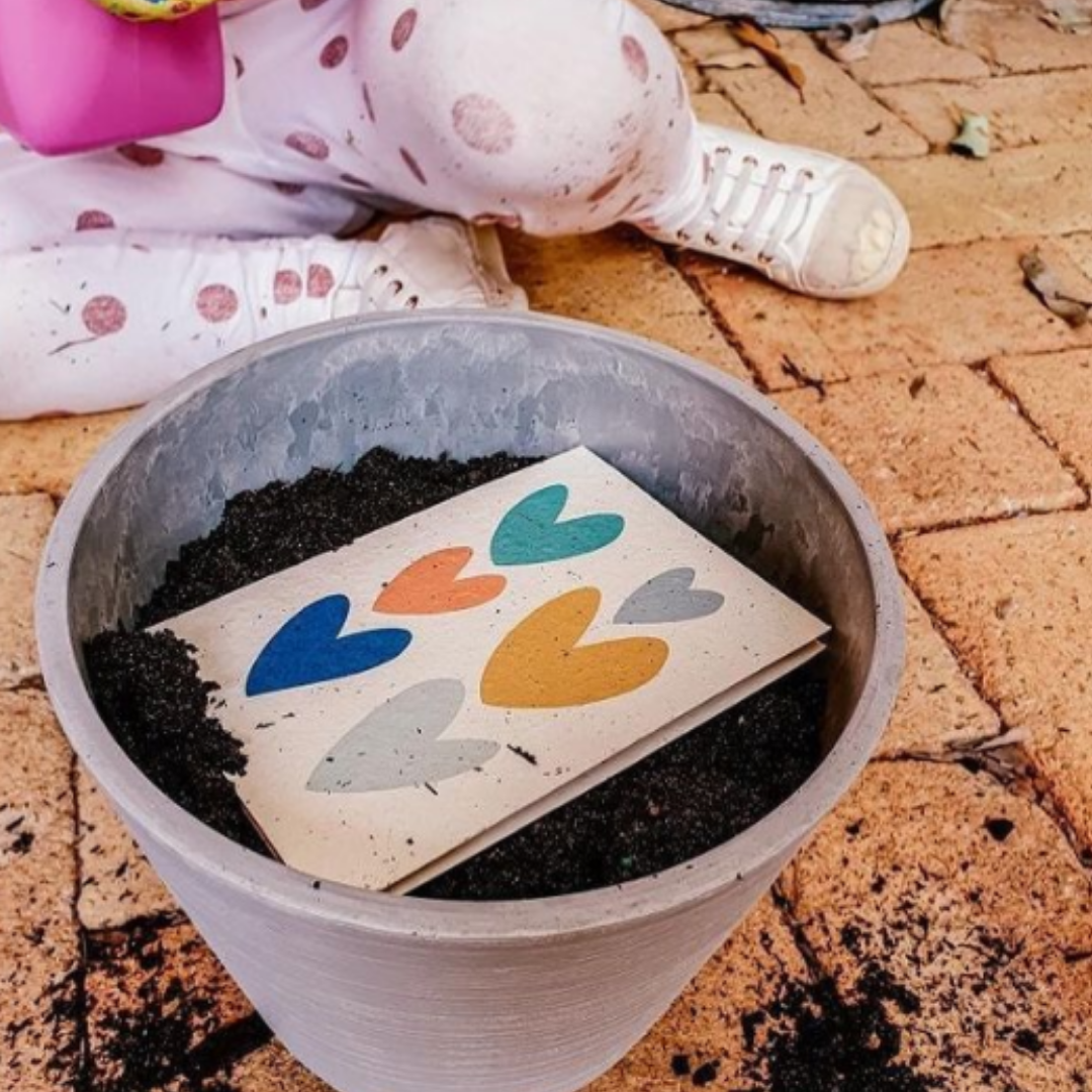 Turquoise Creative - Plantable seeded cards - Love hearts 2.0-Pipp Pop