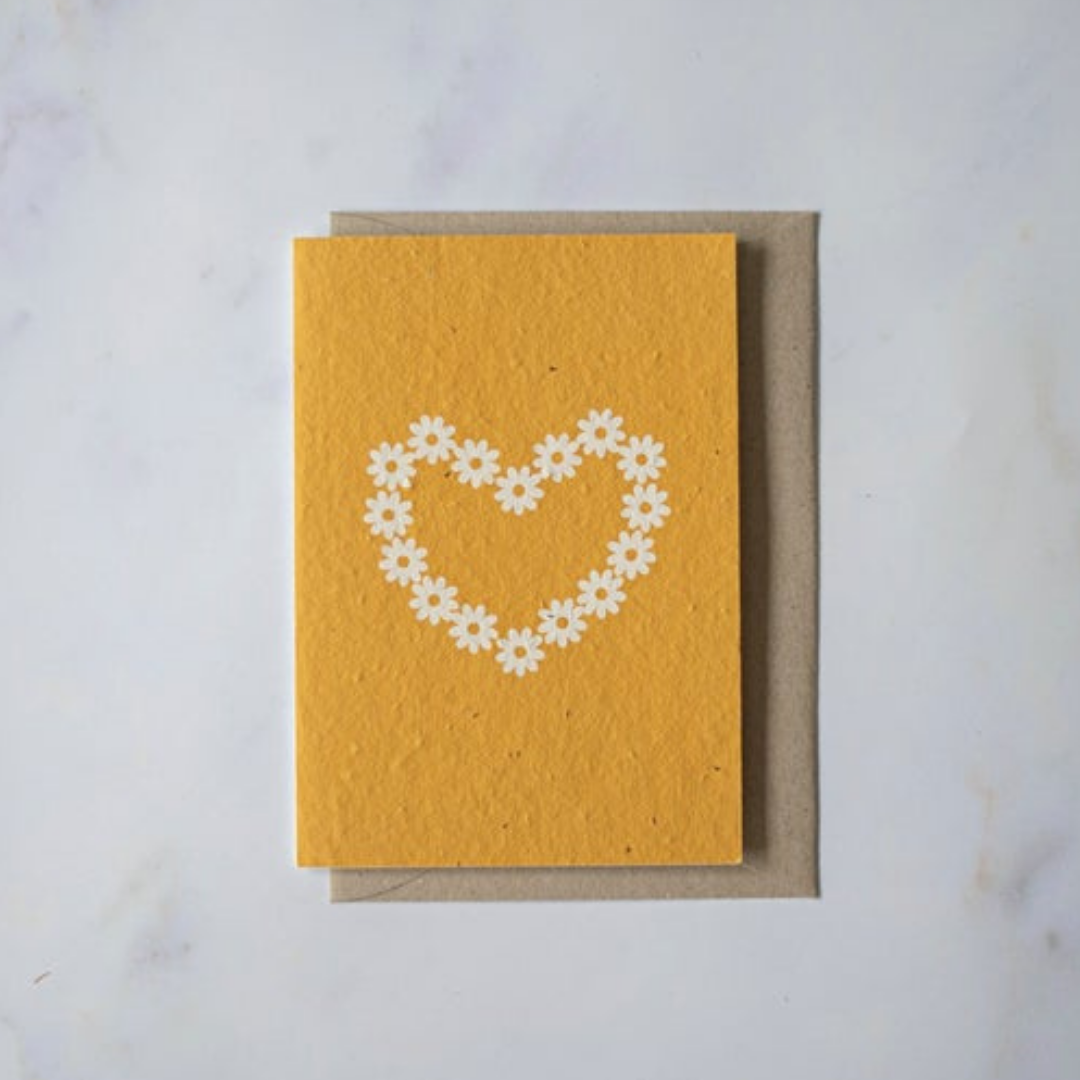 Turquoise Creative - Plantable seeded cards - Mustard Daisy-Pipp Pop