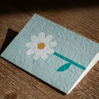 Turquoise Creative - Plantable seeded cards - Daisy-Pipp Pop