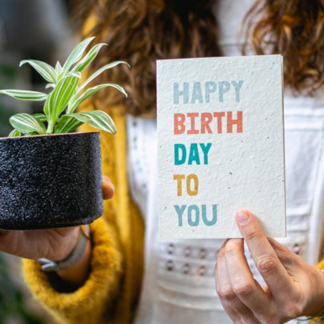 Turquoise Creative - Plantable seeded cards - Happy Birthday-Pipp Pop